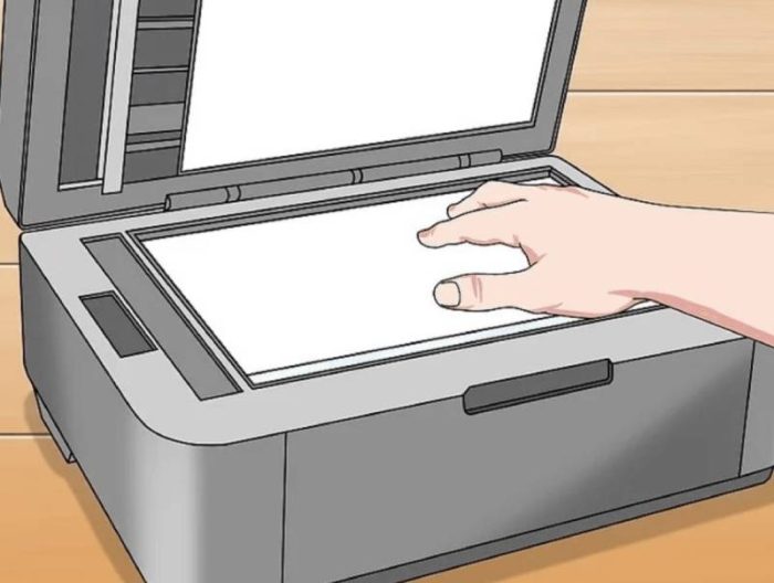 Bật mí cách scan tài liệu trên máy tính cơ bản